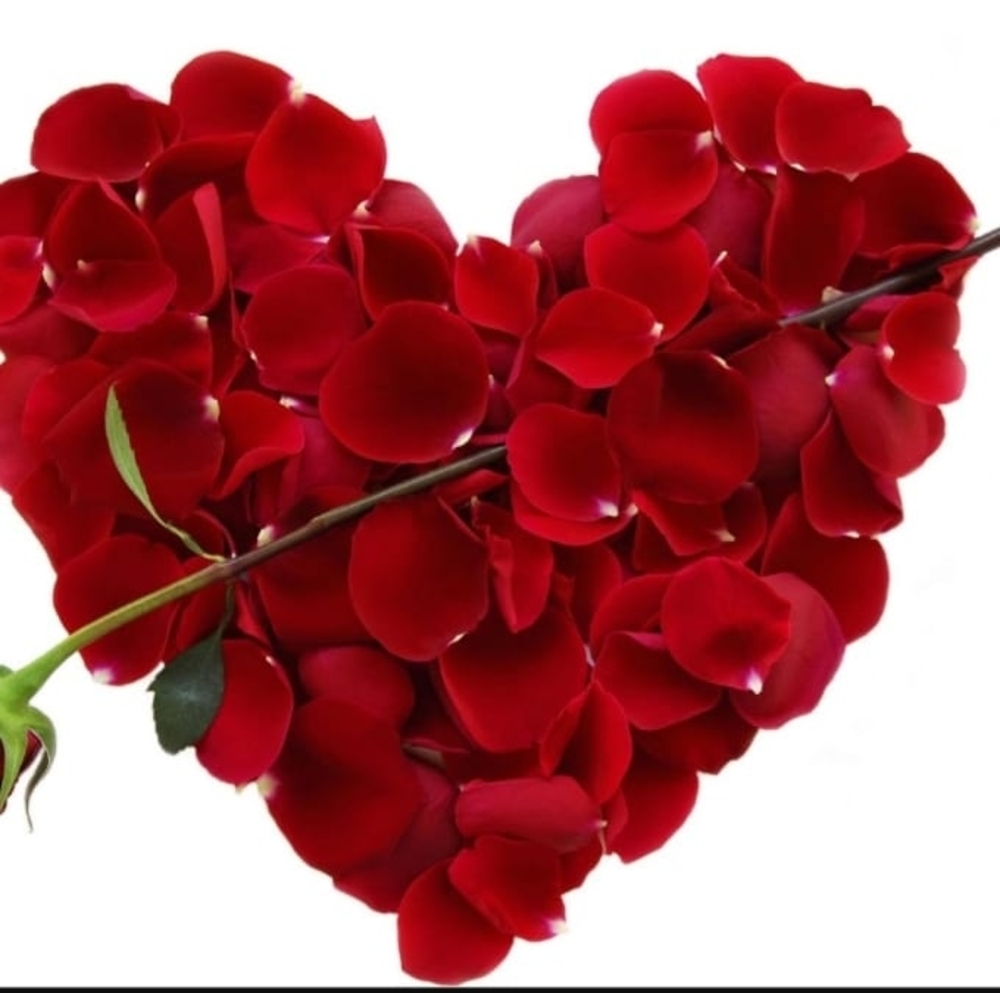 Meet your Posher, Louanne